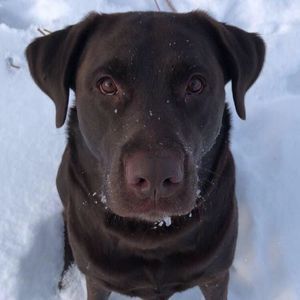 Meet your Posher, Caleb